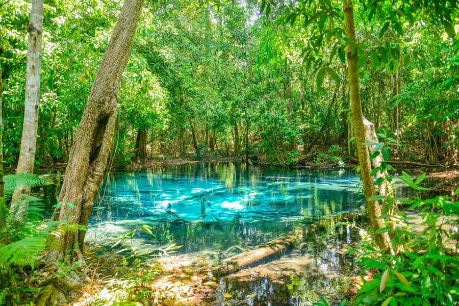 Krabi Private Escape: Emerald Pool, Hot Springs & Tiger Cave - Emerald Pool and the 2-kilometer forest walk