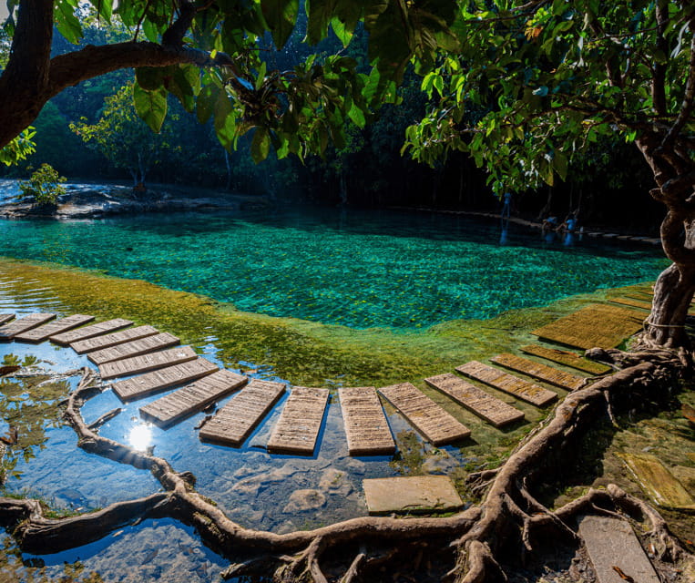 Krabi: Rainforest Jungle Tour with Emerald Pool & Hot Spring - What this Krabi jungle day really includes