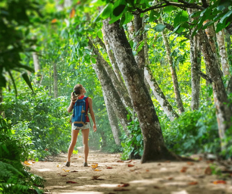 Krabi: Rainforest Jungle Tour with Emerald Pool & Hot Spring - Emerald Pool and the forest paths