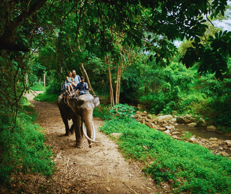 Krabi: Rainforest Jungle Tour with Emerald Pool & Hot Spring - The suspension bridge and the jungle feel