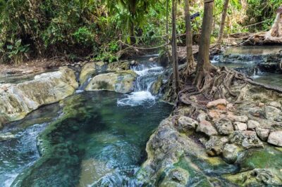 Krabi’s Hidden Gems: Emerald Pool & Hot Spring Tour