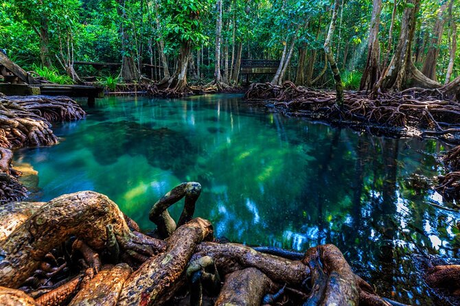 Krabi's Hidden Gems: Emerald Pool & Hot Spring Tour - What to bring for the water stops