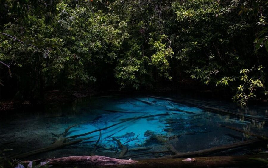 Krabi: Tiger Cave, Hot Springs and Emerald Pool Jungle Tour - Key points to know before booking