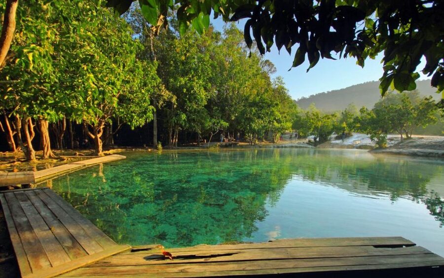 Krabi: Tiger Cave, Hot Springs and Emerald Pool Jungle Tour - Tiger Cave Temple and the 1,260-step challenge