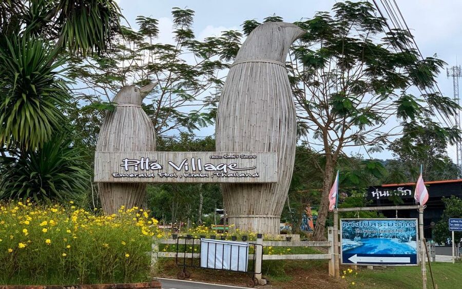 Krabi: Tiger Cave, Hot Springs and Emerald Pool Jungle Tour - Transport, timing, and the value of $48