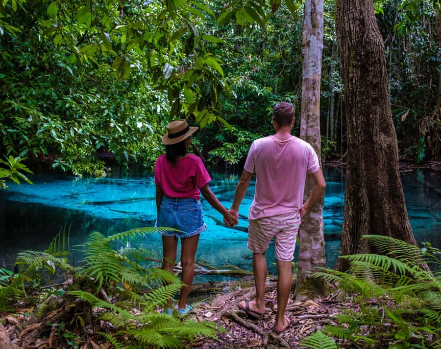 Krabi: Tiger Cave, Hot Springs & Emerald Pool Private Tour - Krabi Hot Springs: warm water after the stairs