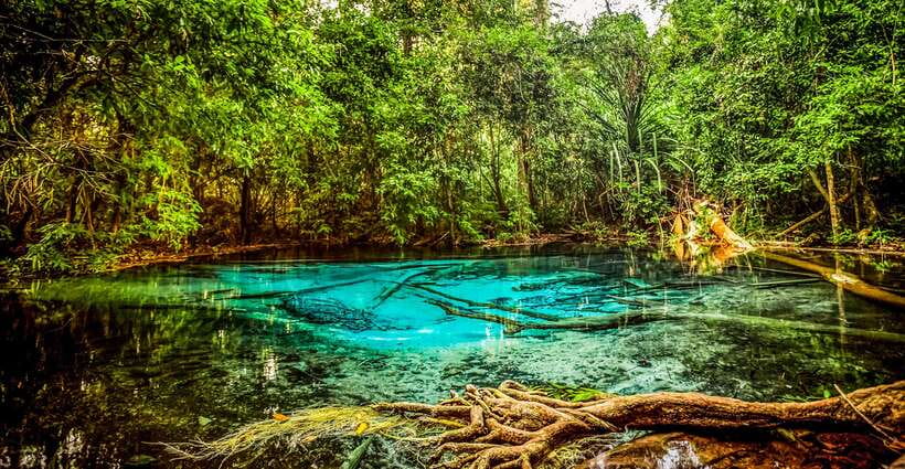 Krabi: Tiger Cave Temple, Emerald Pool and Hot Springs Tour - Take the monkey warning seriously