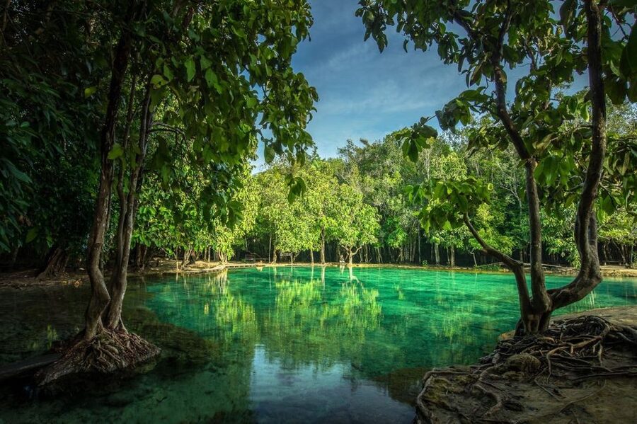 Krabi: Tiger Temple, Hot Springs & Crystal Pool Jungle Tour - Key points at a glance