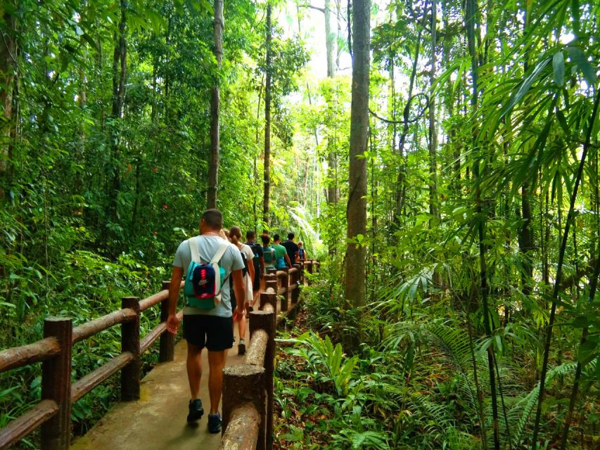 Krabi: Tiger Temple, Hot Springs & Crystal Pool Jungle Tour - The Emerald Pool and its rainforest trail