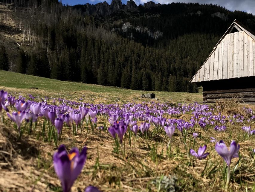 Krakow: Hiking Adventure in Tatra Mountains & Thermal Baths - What the $164 Price Covers