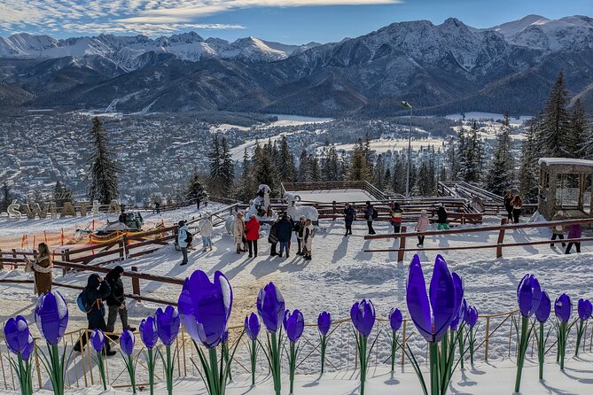 Krakow Zakopane Cable Car Vodka Cheese and Hot Springs Tour - Value at $111.58 per person