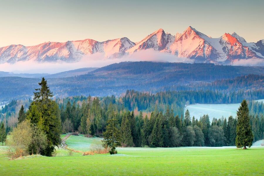 Krakow: Zakopane Day Tour with Optional Thermal Baths - Guides, transport, and how the day is managed
