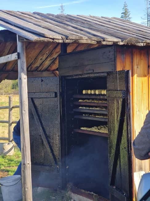 Krakow: Zakopane, Thermal Baths and Cable Car - Timing, closures, and practical limits