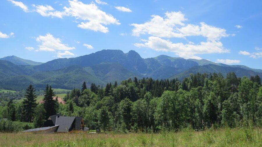 Krakow: Zakopane, Thermal Baths, Cable Car, Vodka, Oscypek - Two hours on Krupowki Street