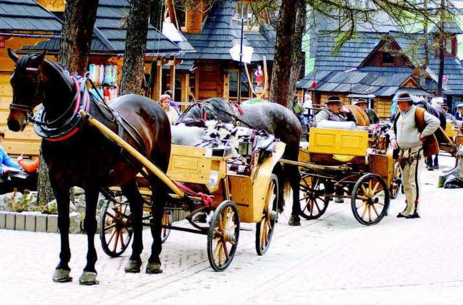 KRAKOW ZAKOPANE TOUR CABLE CAR THERMAL BATHS & HOTEL PICKUP - Who should book this day trip?