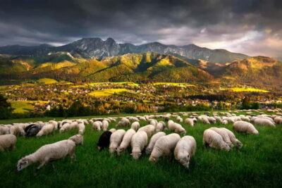 Zakopane Trip with Thermal Pools & Hotel Pick-up