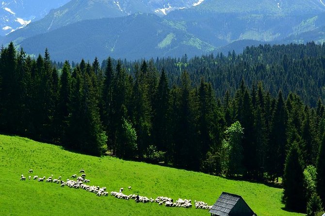 Krakow: Zakopane with Thermal Baths, Cable Car & Hotel Pickup - Oscypek, the cheese of the Podhale region