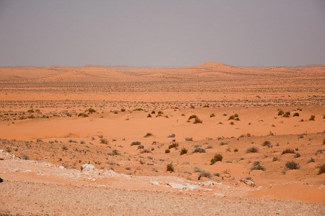 Ksar Ghilane 1 day: The hot spring and the homestay - A long morning on the road from Djerba