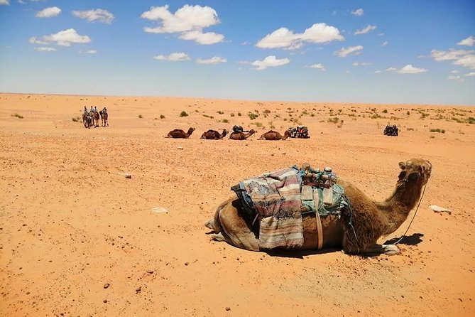 Ksar Ghilane 1 day: The hot spring and the homestay - Hotel Sidi Idriss and the Star Wars connection