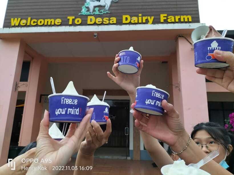 Kundasang : Poring Hot Spring + Desa & Meal Shared Tour - Guide quality and the shared-van tradeoff