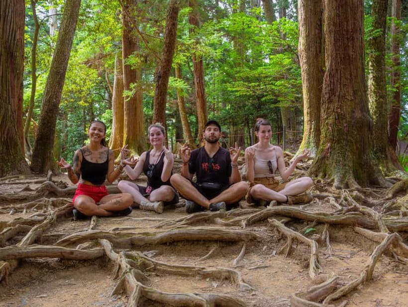 Kyoto: Hike and Hot Springs in Kurama - Climbing Mount Kurama through the cedar forest
