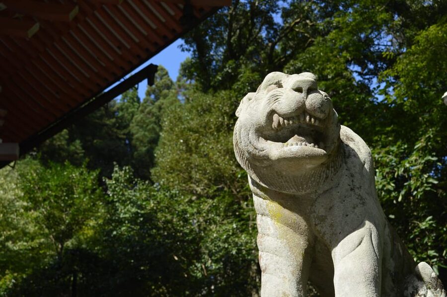 Kyoto: Hike and Hot Springs in Kurama - Downhill steps and Kurama village