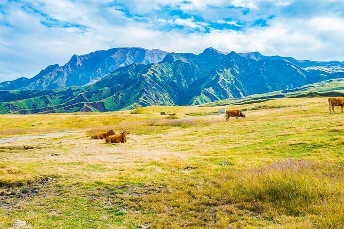Kyushu: Aso Vocano, Grassland,Onsen and Aso shrine 1-Day Tour - Why this Kyushu day trip works