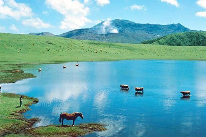Kyushu: Aso Vocano, Grassland,Onsen and Aso shrine 1-Day Tour - Nakadake Crater and the power under your feet