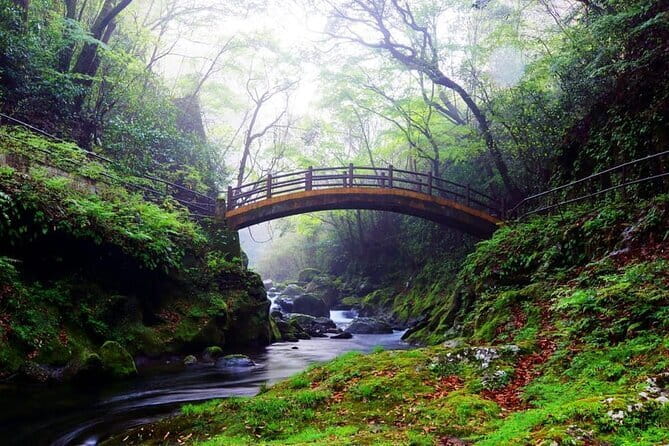 Kyushu: Aso Vocano, Grassland,Onsen and Aso shrine 1-Day Tour - Aso Shrine and 2,500 years of tradition
