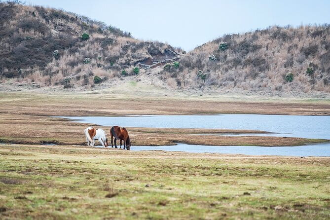 Kyushu: Aso Vocano, Grassland,Onsen and Aso shrine 1-Day Tour - Kurokawa Onsen and the final hour and a half