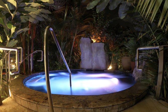 La Fortuna: Mineral Hot Springs Full Day Ticket - What families and couples should expect