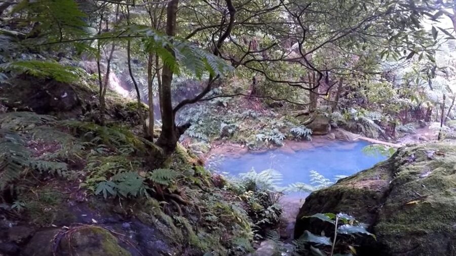 Lagoa do Fogo: Biologist-guided Volcano e-Tour +Hot Springs - Key points to know before you book