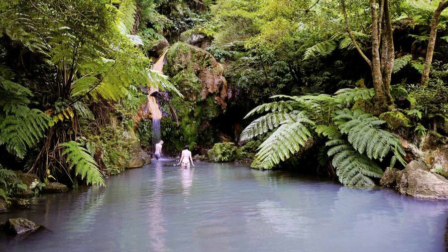 Lagoa do Fogo: Biologist-guided Volcano e-Tour +Hot Springs - Who should book this four-hour outing