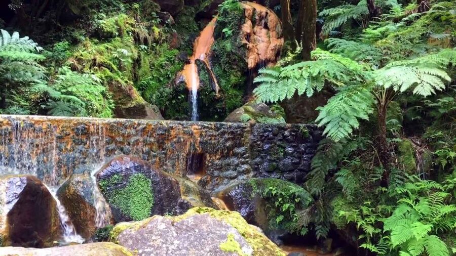 Lagoa do Fogo: Biologist-guided Volcano e-Tour +Hot Springs - The guides are a major part of the value