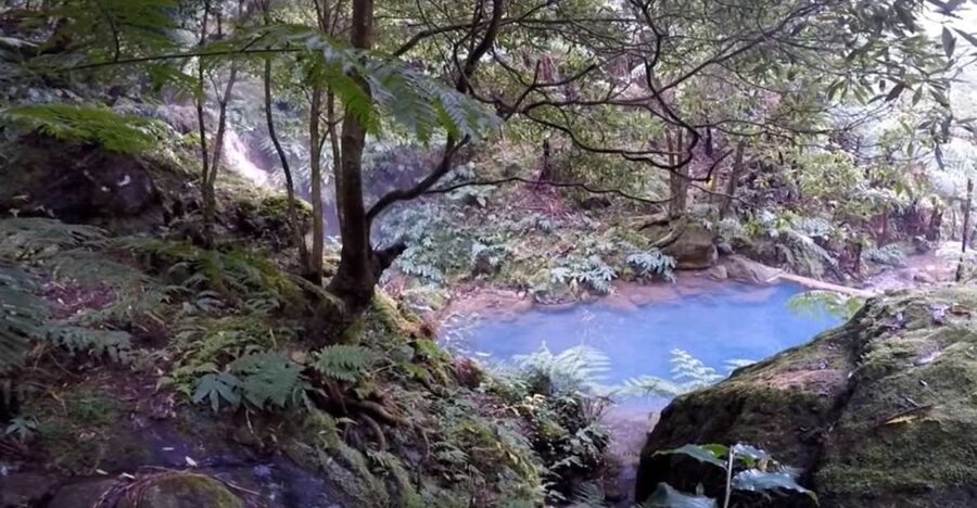 Lagoa do Fogo: Biologist-guided Volcano e-Tour +Hot Springs - Pico da Barrosa and Bela Vista open the view