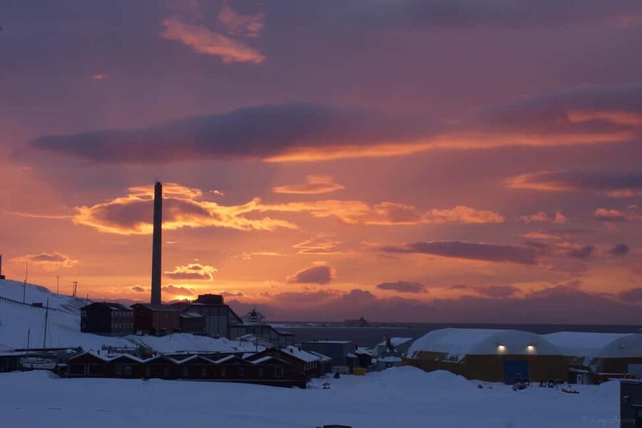 Longyearbyen: Arctic Ocean Swim, Sauna & Sightseeing - Reaching the Arctic Ocean for the polar dip