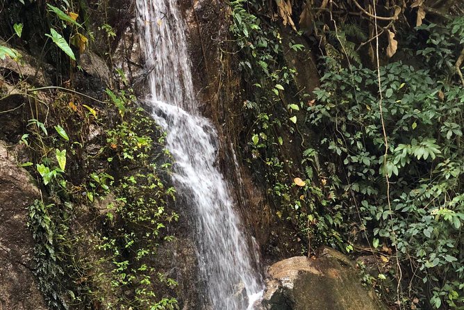 Lost in Chiang Mai - Secret Village, Hot Spring & Waterfall - A Cultural Therapy - Who should book this outing