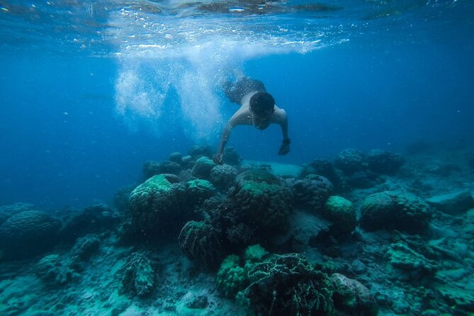Luxury Cruise inc. Snorkeling/Massage/Island/water sport & Lunch - Orange Bay and Giftun Islands National Park