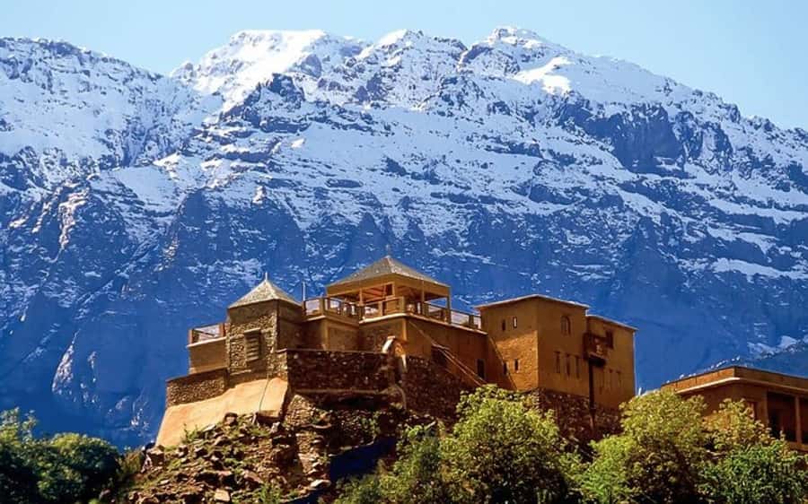 Marrakech: Berber Spa and Traditional Hammam with Steam Room - Key points to know before booking