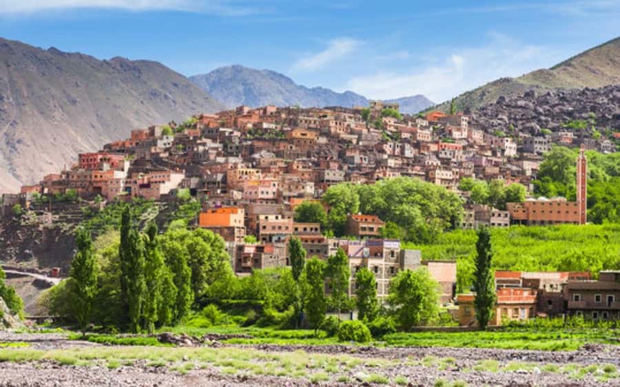 Marrakech: Berber Spa and Traditional Hammam with Steam Room - What happens during the 40-minute hammam