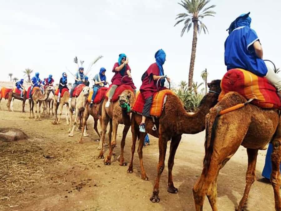 Marrakech: Half-Day Tour with Buggy Ride, Camel Ride and Spa - A half-day built around contrast