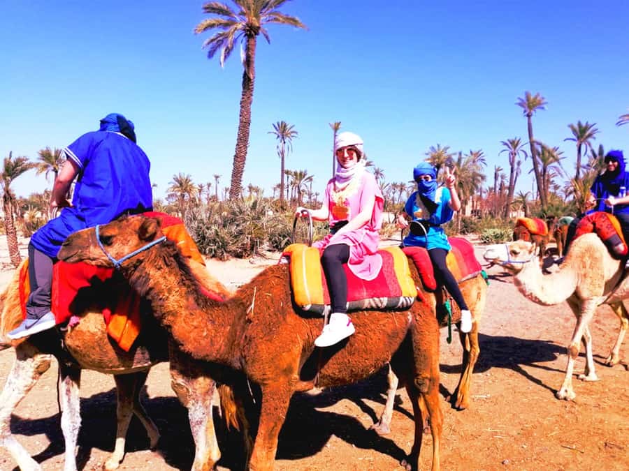 Marrakech: Half-Day Tour with Buggy Ride, Camel Ride and Spa - Who should book this experience?