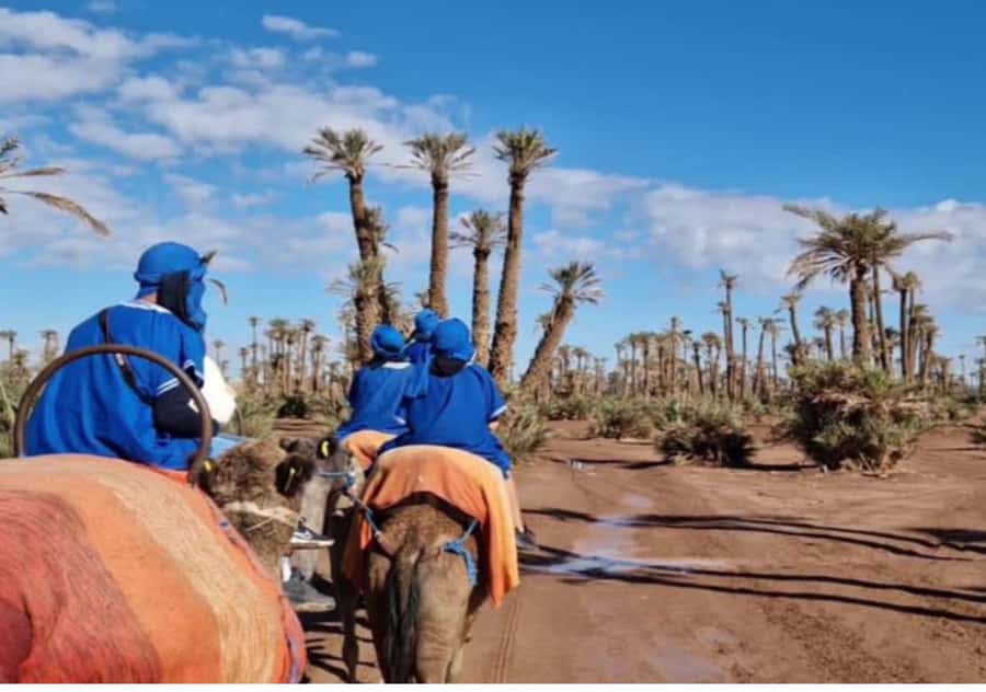 Marrakech: Palmeraie Camel Ride & Traditional Moroccan Spa - Who will enjoy this outing most