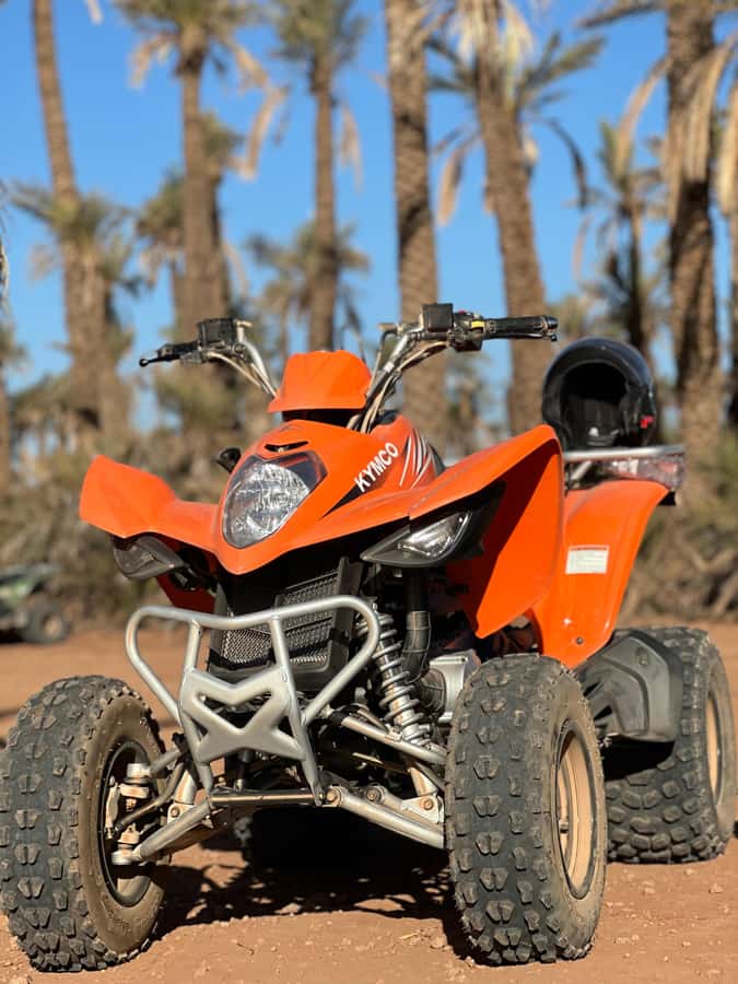 Marrakech Tour: Quad bike, Lunch in Palm Grove, Hammam & SPA - Returning to Marrakech for a different kind of afternoon
