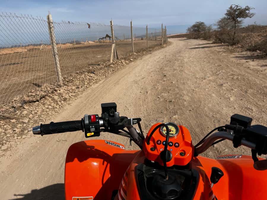 Marrakech Tour: Quad bike, Lunch in Palm Grove, Hammam & SPA - How the guides affect the day