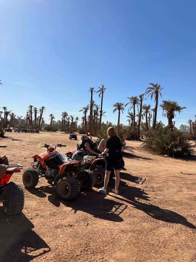 Marrakech Tour: Quad bike, Lunch in Palm Grove, Hammam & SPA - Who should book this combination?