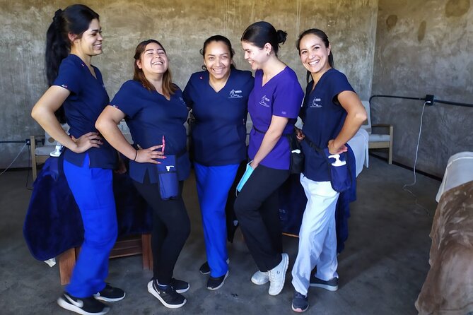Massage Experience with Certified Therapists & Pickup Drop-Off - What the couples treatment feels like