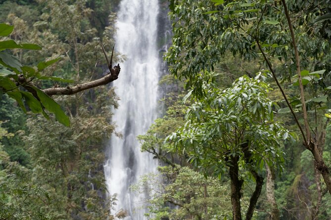 Materuni Waterfall and Kikuletwa Hot Spring Tour - Coffee made the Chagga way