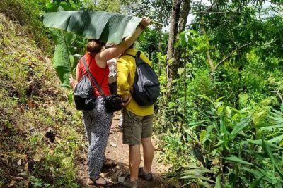 Materuni Waterfall and Kikuletwa Hot Spring Tour