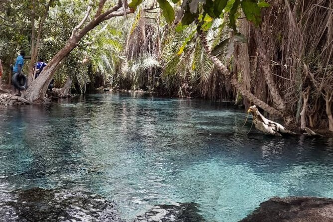 Materuni Waterfall and Kikuletwa Hot Spring Tour - Guides, drivers, and the private format